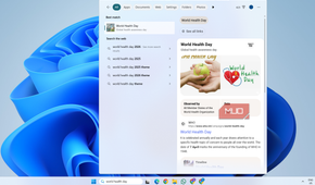 Start menu web search