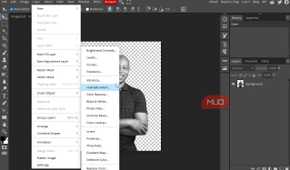 Using Photopea layers