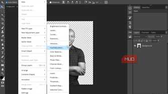 Using Photopea layers