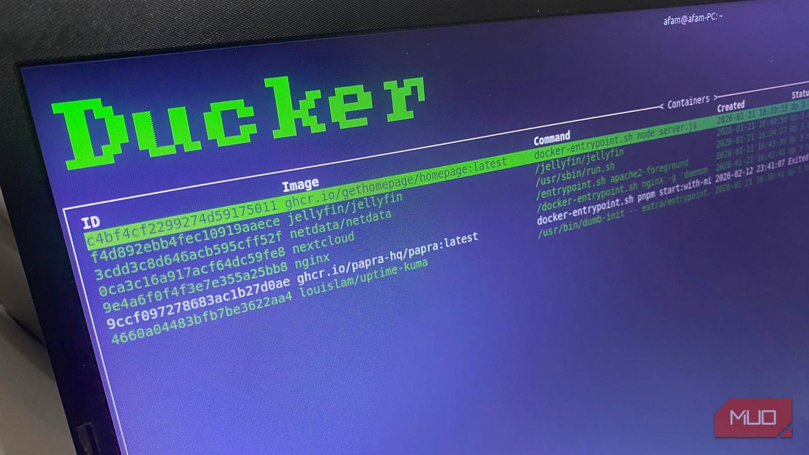 This interactive terminal tool makes managing containers actually fun