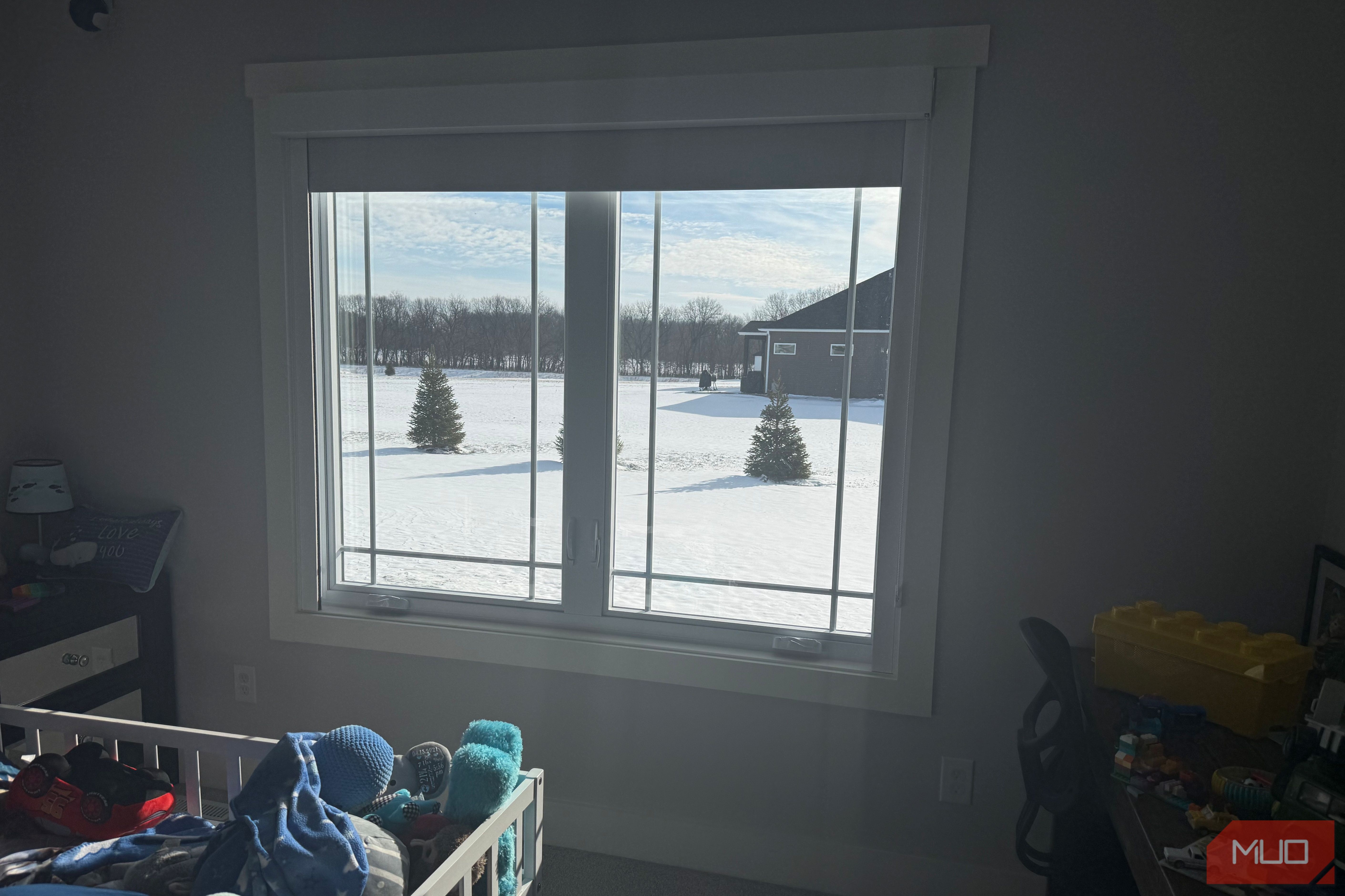 window looking outside to evergreen trees
