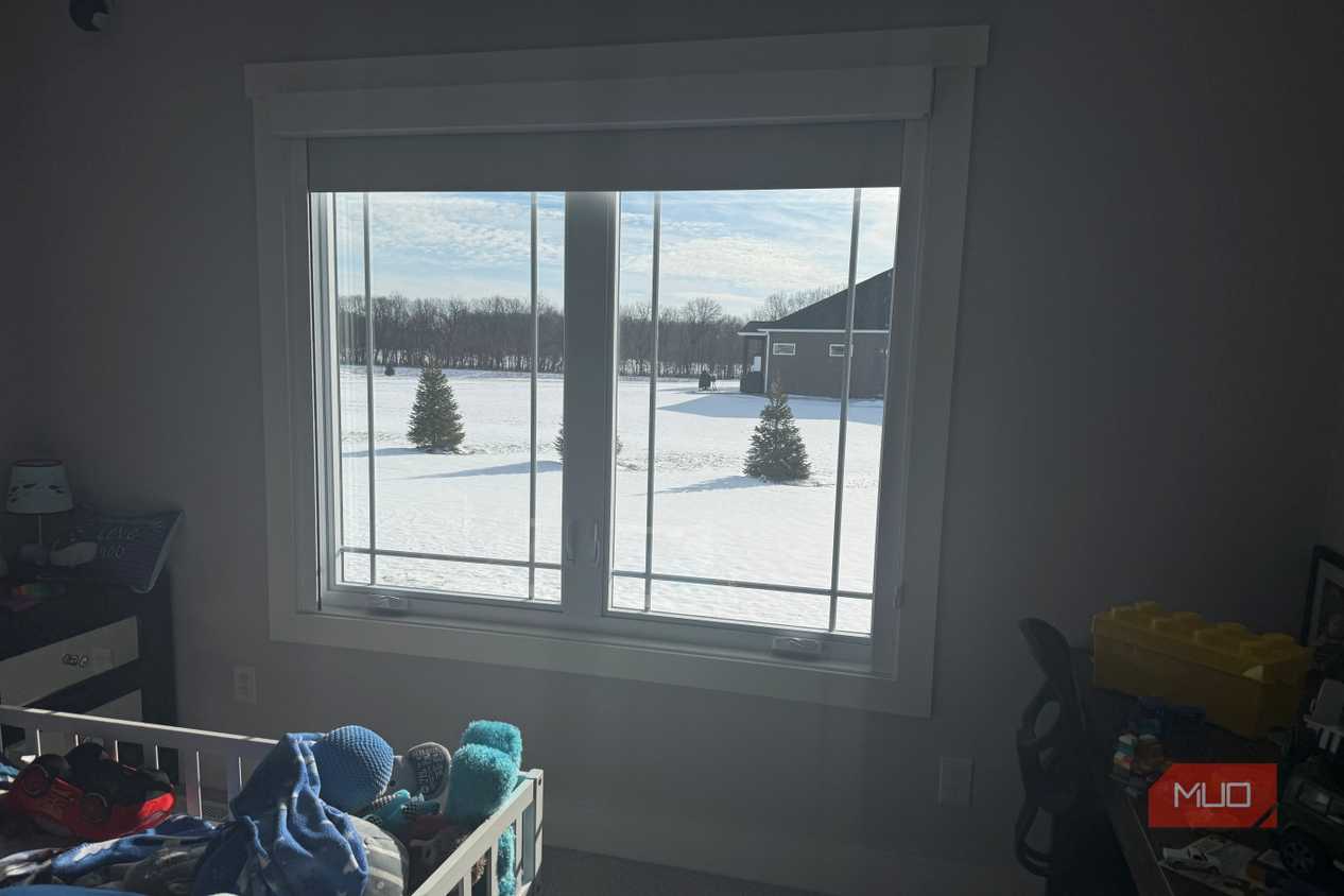 window looking outside to evergreen trees