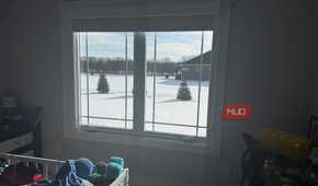 window looking outside to evergreen trees