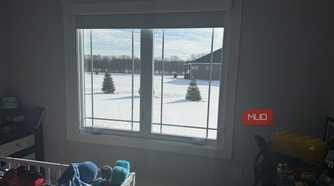 window looking outside to evergreen trees
