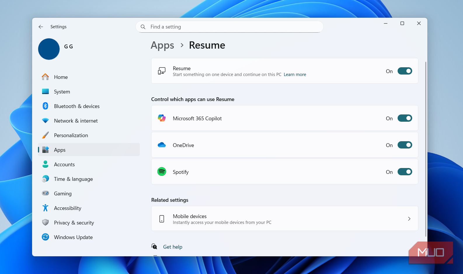 Windows 11 Resume feature settings