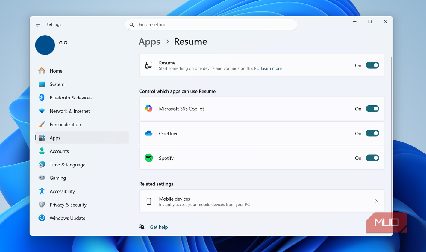 Windows 11 Resume feature settings