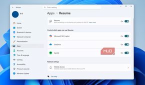 Windows 11 Resume feature settings