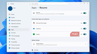 Windows 11 Resume feature settings