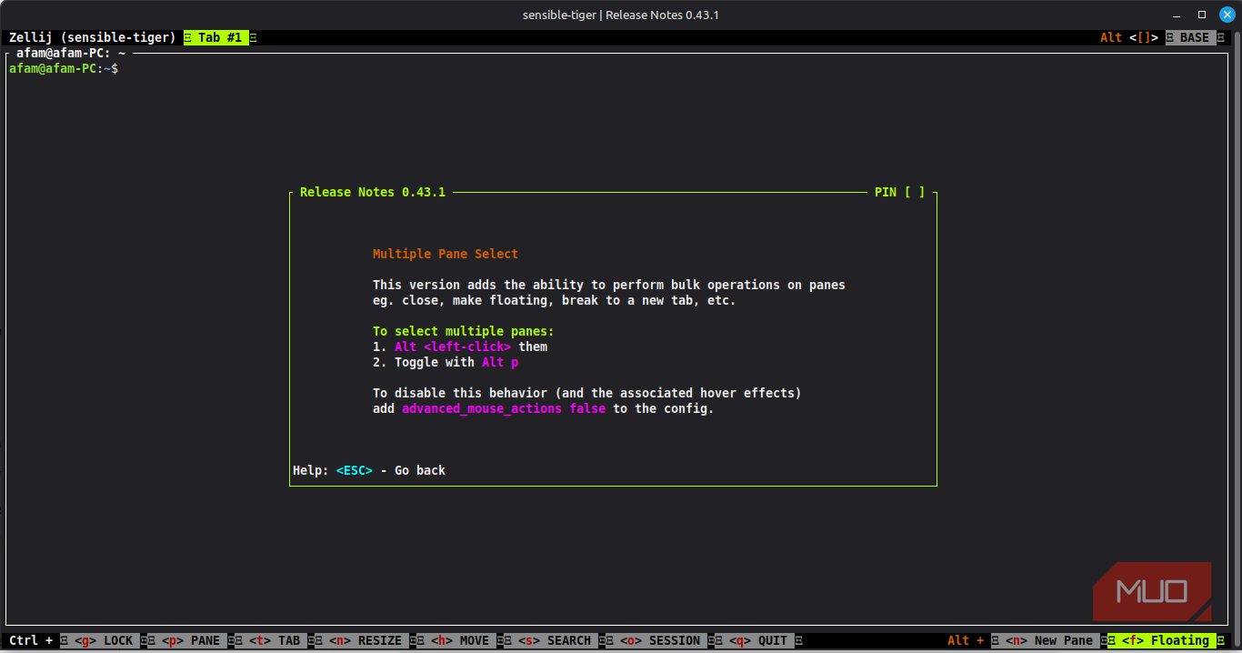 I replaced Tmux, Screen and my entire Terminal Workflow using a single ...