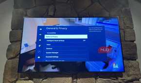 The General and Privacy page on Samsung TV