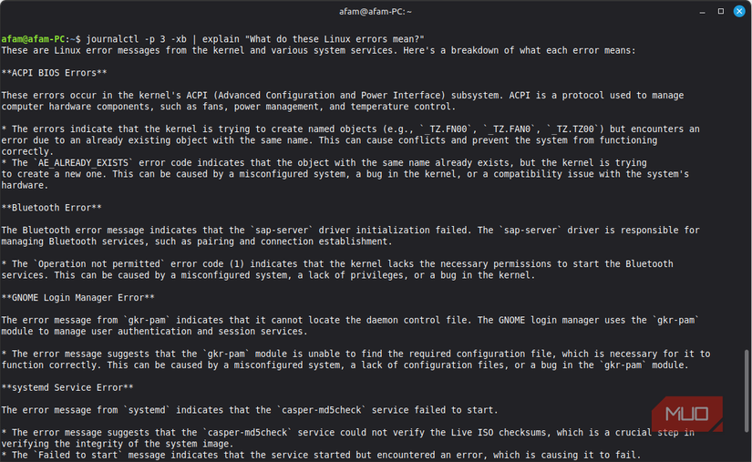 AI assistant explaining local system errors