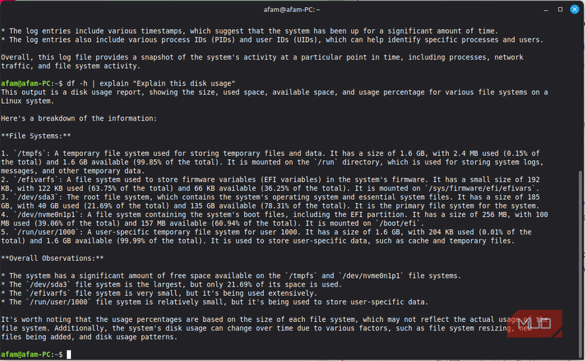 Checkng disk usage wth my local AI