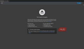 Windows Chrome showing the incognito mode disclosure