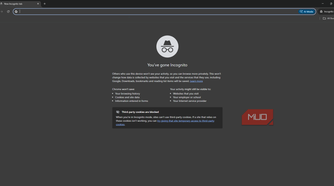 Windows Chrome showing the incognito mode disclosure
