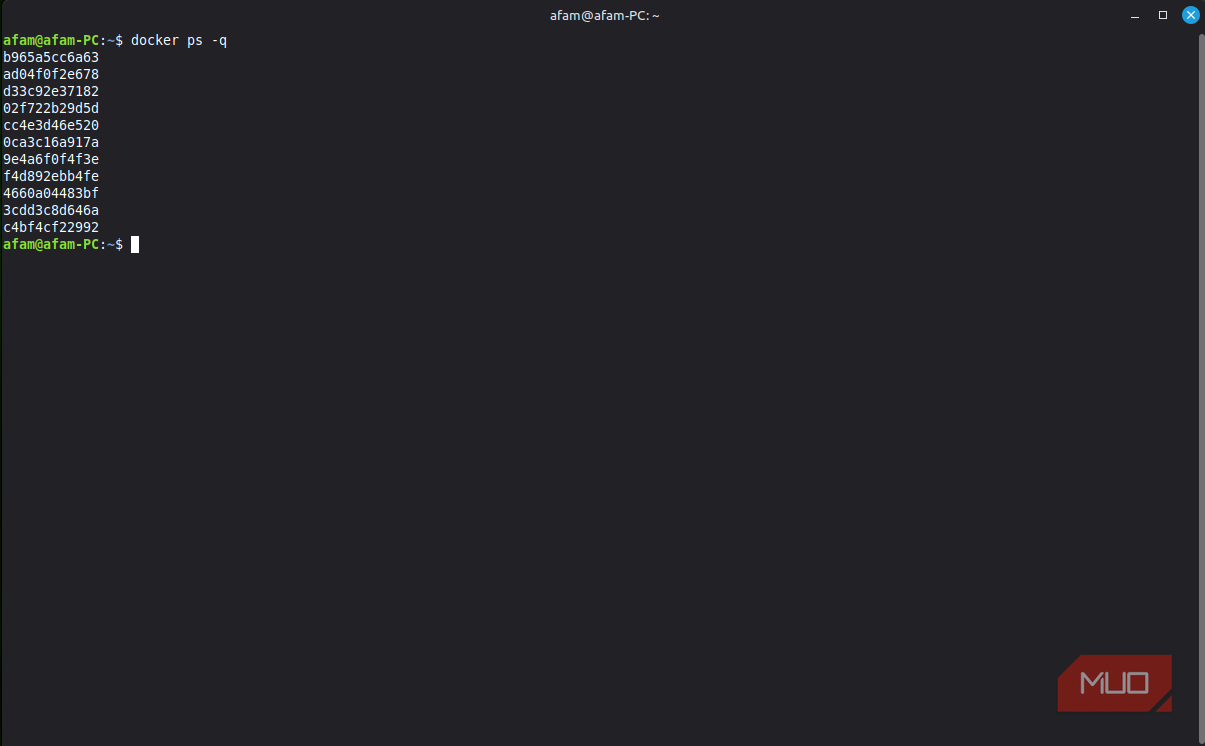 Contaner IDs for Docker