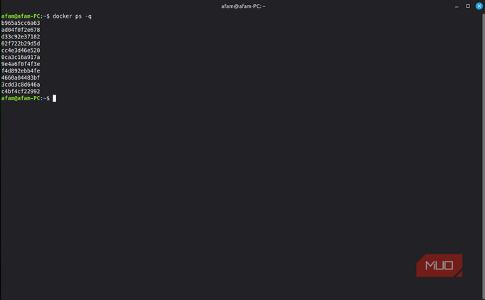 Contaner IDs for Docker
