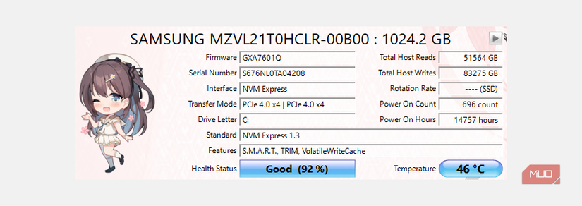 crystaldiskinfo drive data total host writes.