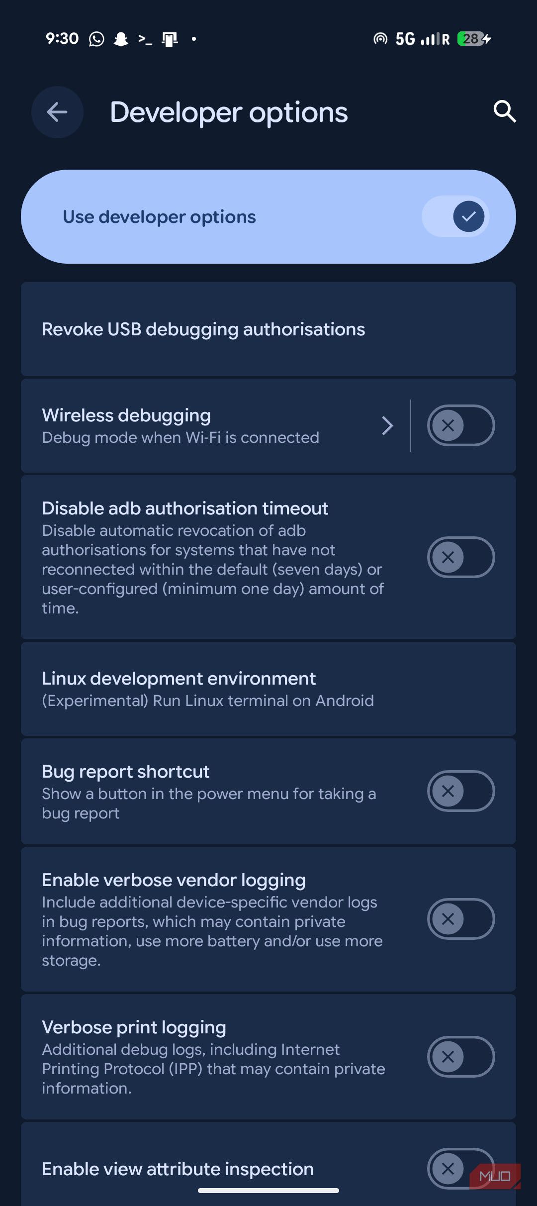 Developer options with Terminal setting.