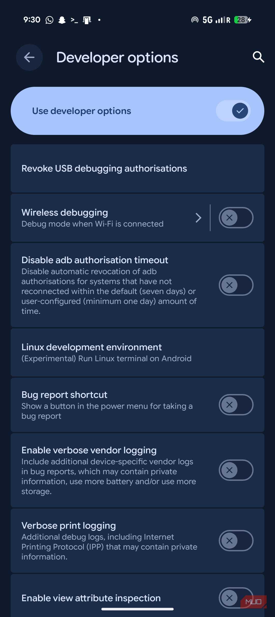 Developer options with Terminal setting.