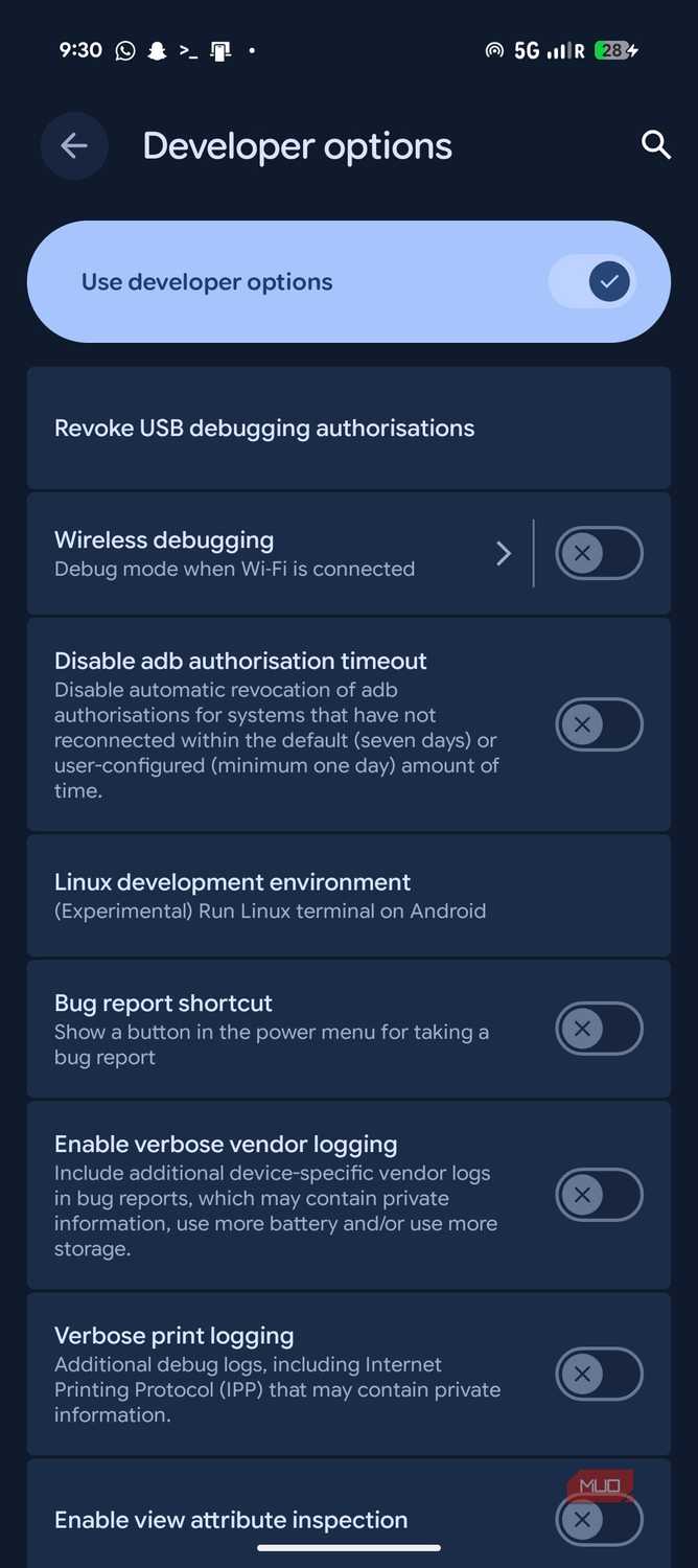 Developer options with Terminal setting.
