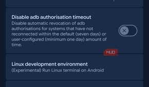 Developer options with Terminal setting.
