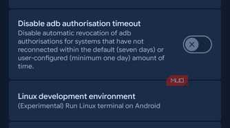 Developer options with Terminal setting.
