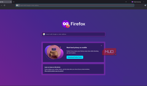Firefox browser showing the incognito window disclosure