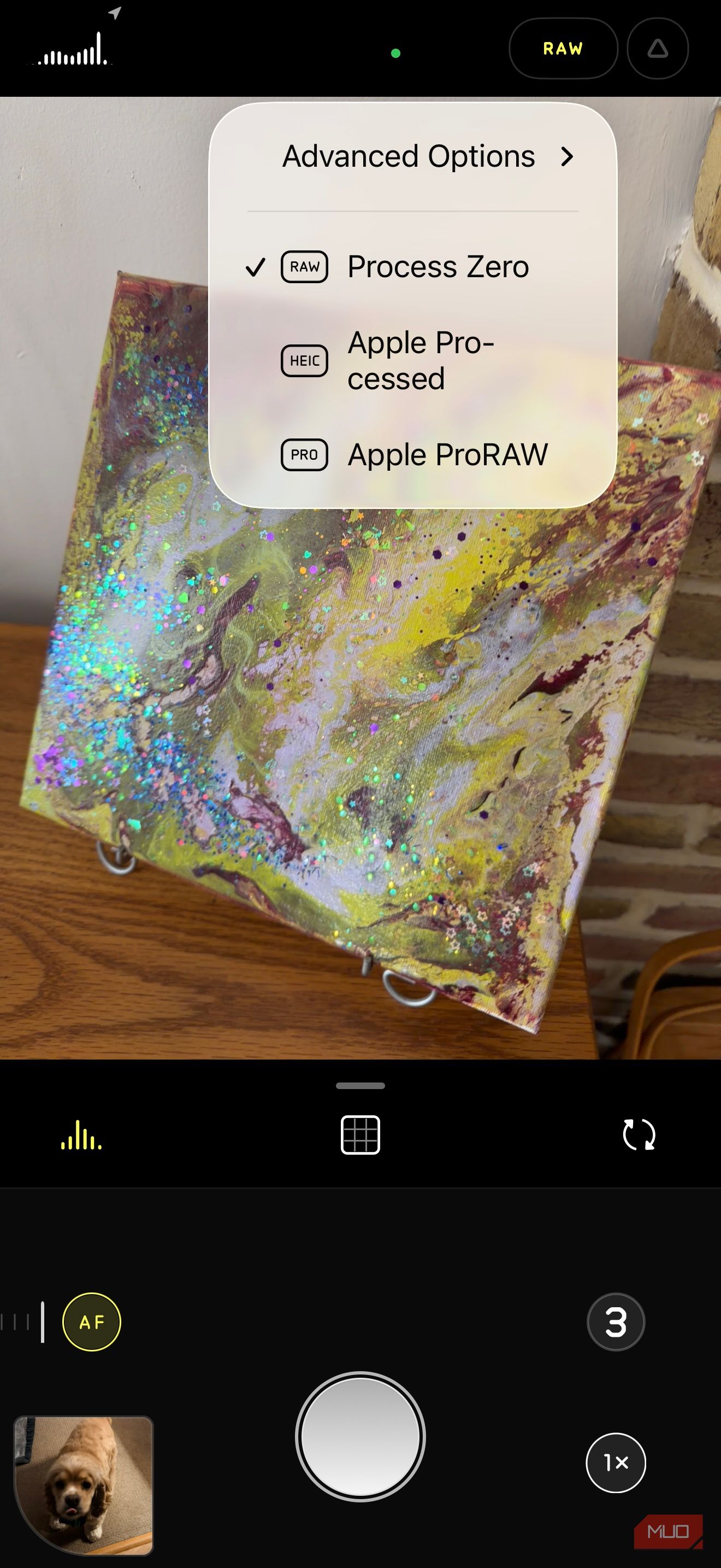 This app turned my phone into a camera I actually want to shoot with