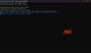 Installing KopiaU from the command line