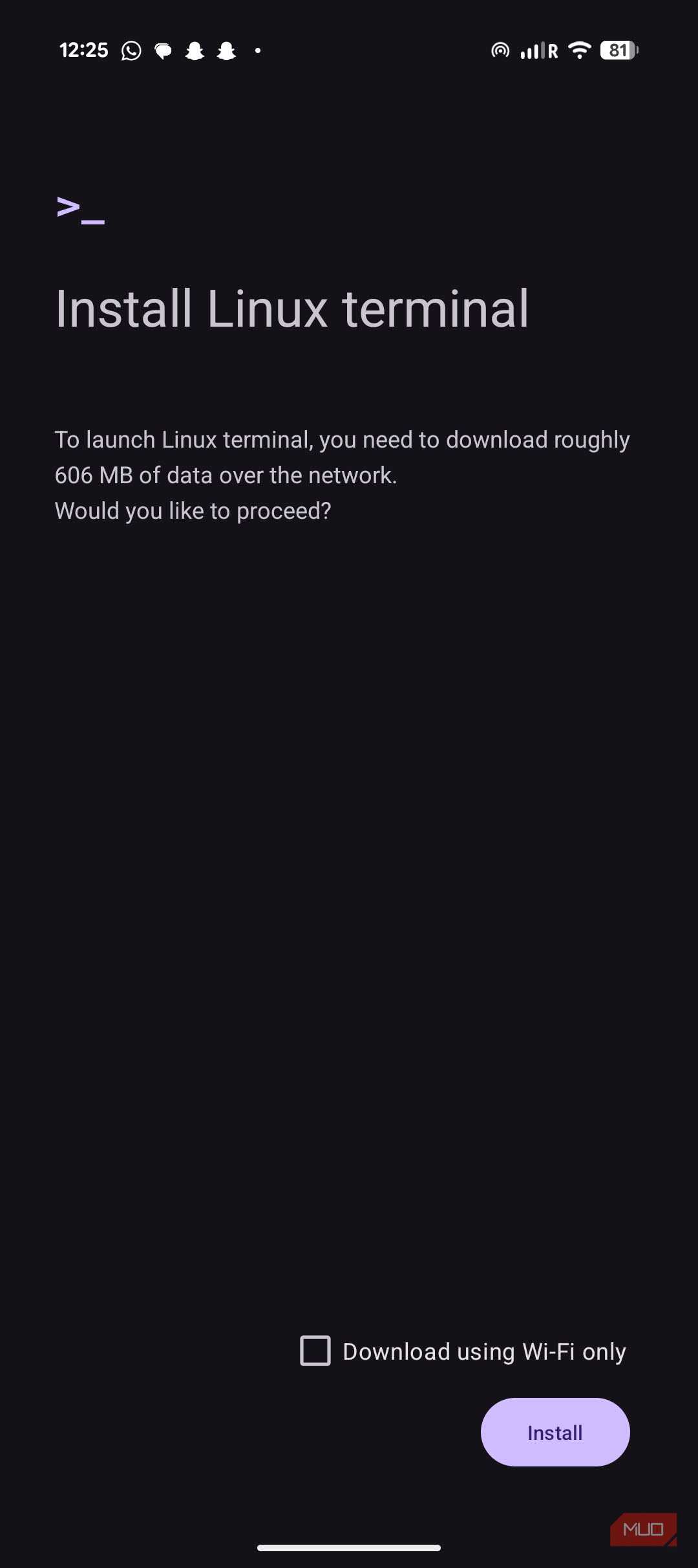 Linux terminal installation screen on Android Pixel 9a.