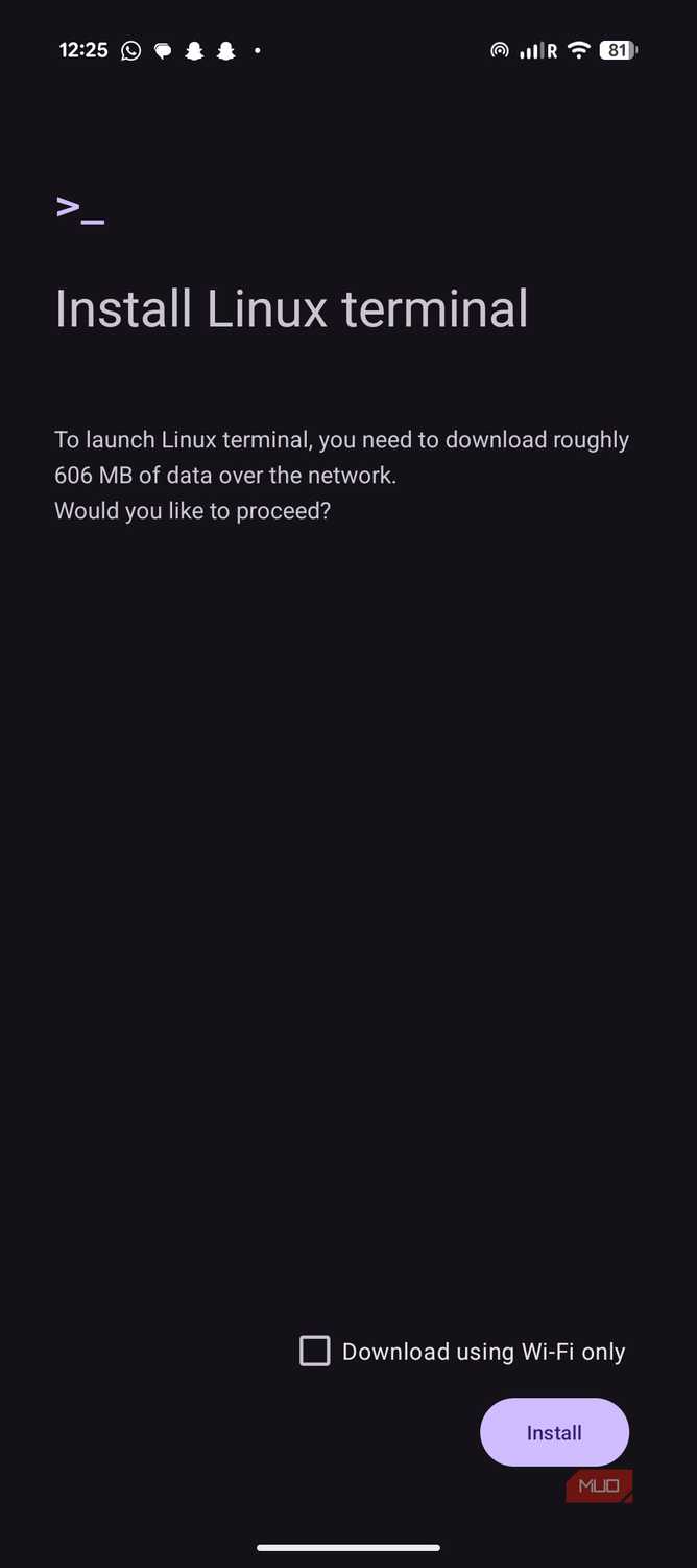 Linux terminal installation screen on Android Pixel 9a.