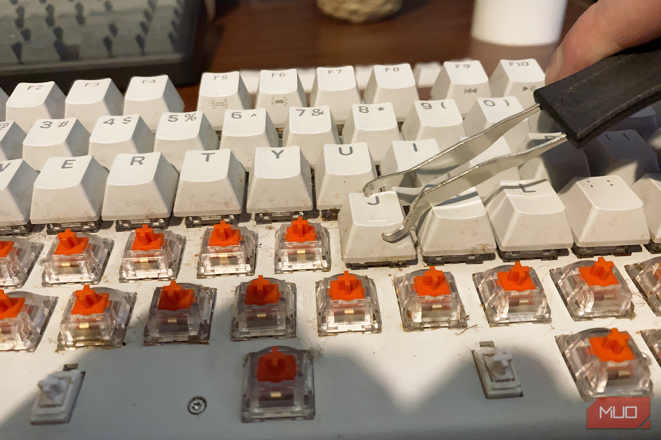 Please, please regularly clean your mechanical keyboard