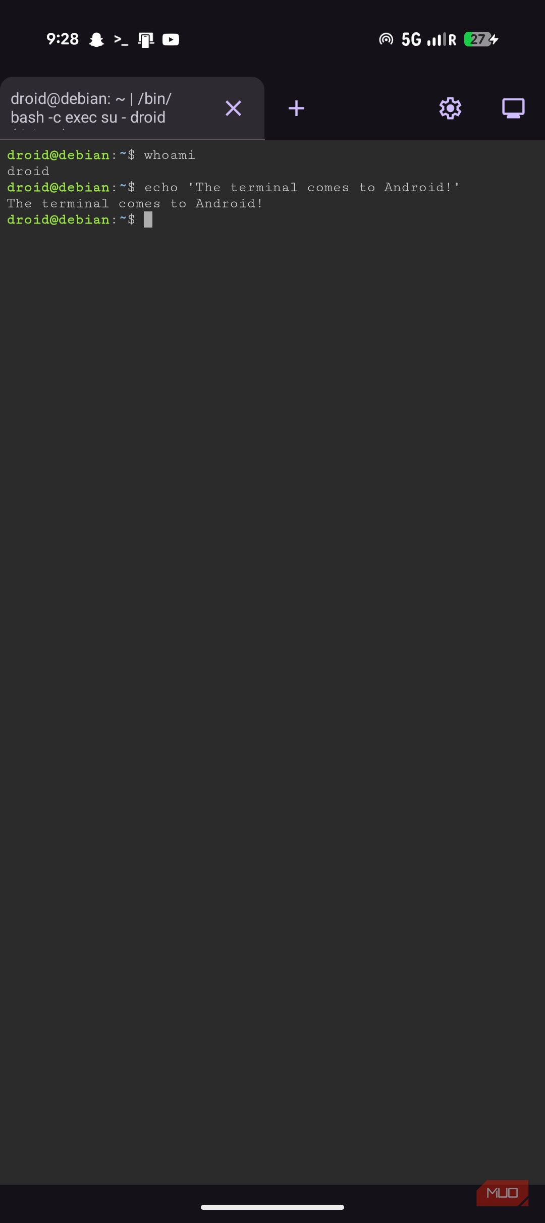 Native terminal running on Pixel 9a. 
