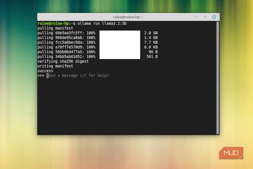 Terminal window showing Ollama pulling models and start of chat.