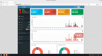 Pi-hole home dashboard screen.