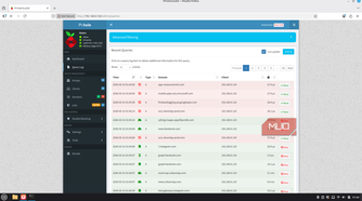Pi-hole recent queries screen.