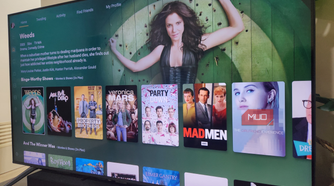 The Plex interface on a TV screen.
