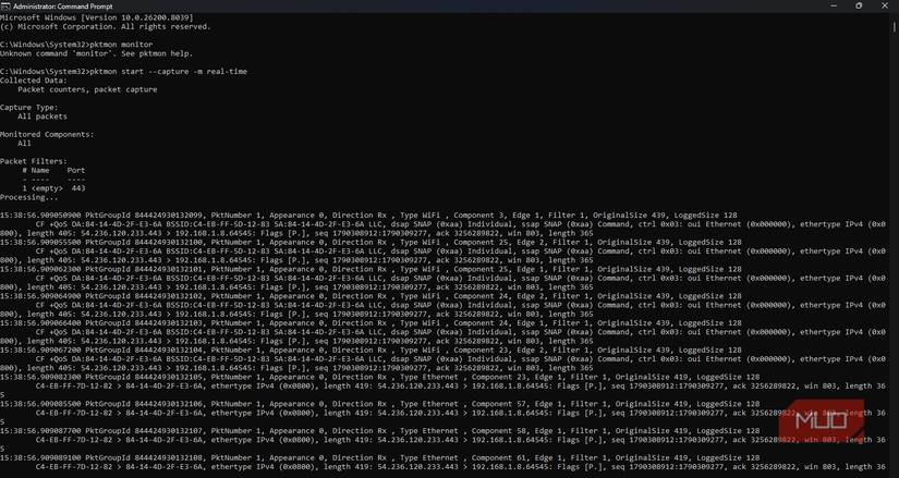 PktMonのリアルタイムパケット分析の様子