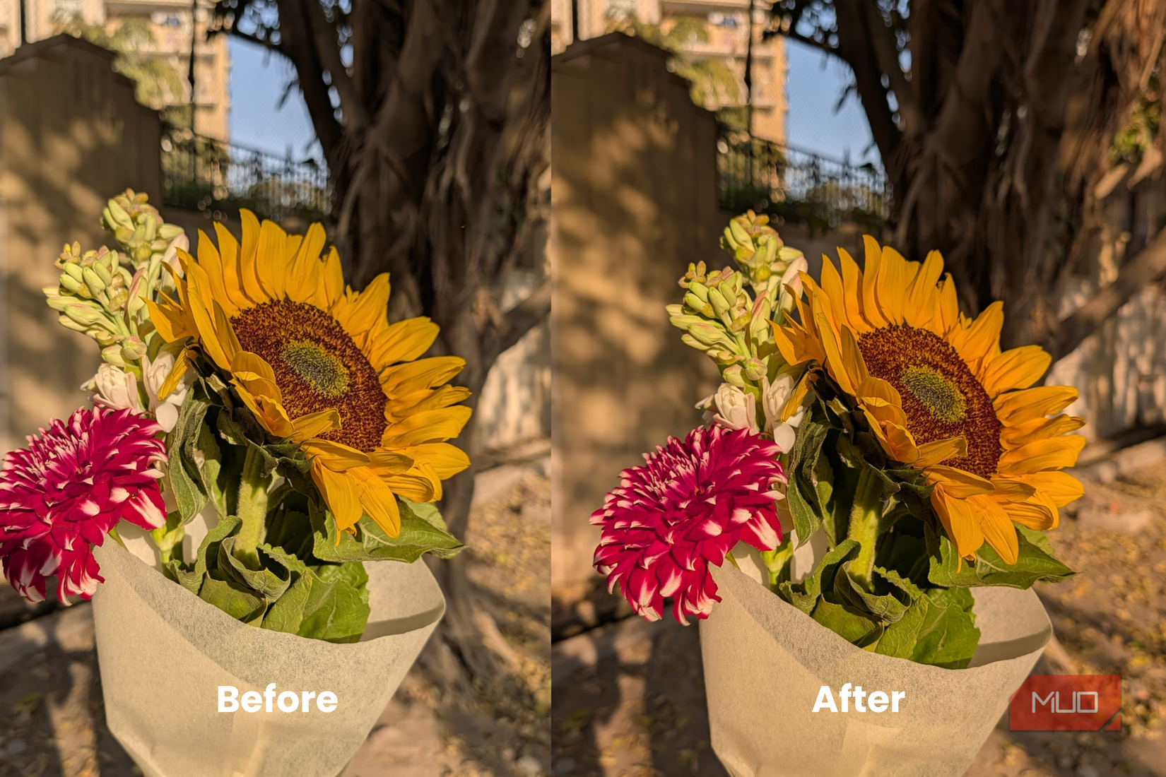 Rich color in Photos toggled off and on Pixel 10 Pro