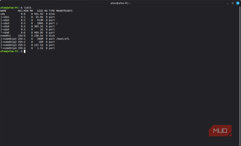 Ejecutando el comando lsblk