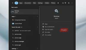 Services app opened on Windows 11