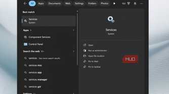 Services app opened on Windows 11