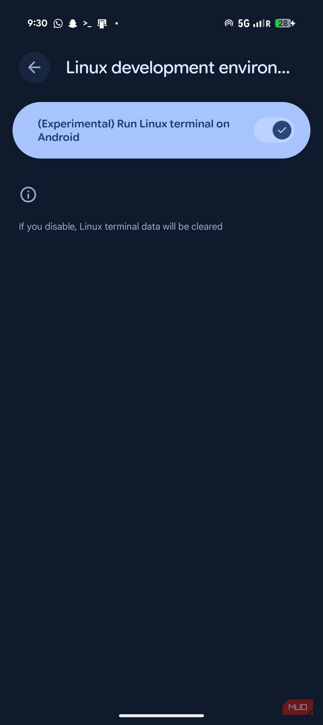 Terminal option on Android Pixel 9a. 