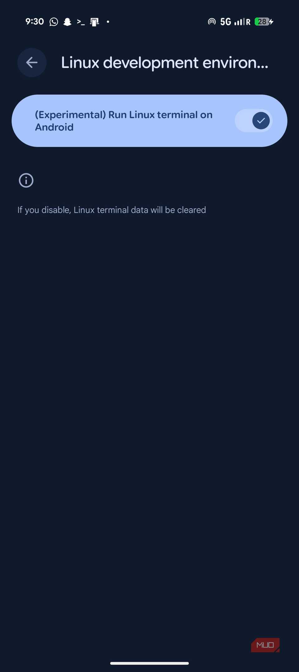 Opción de terminal en Android Pixel 9a. 