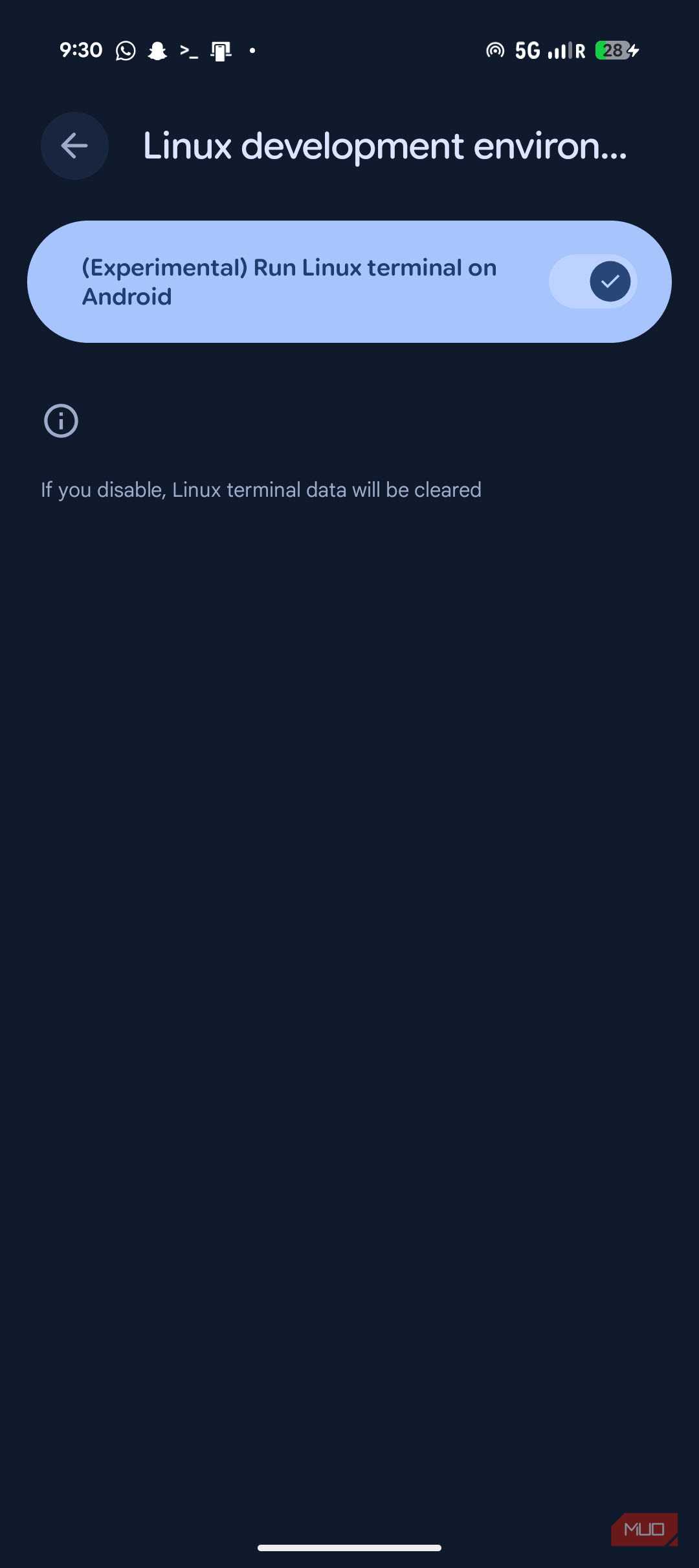 Terminal option on Android Pixel 9a.
