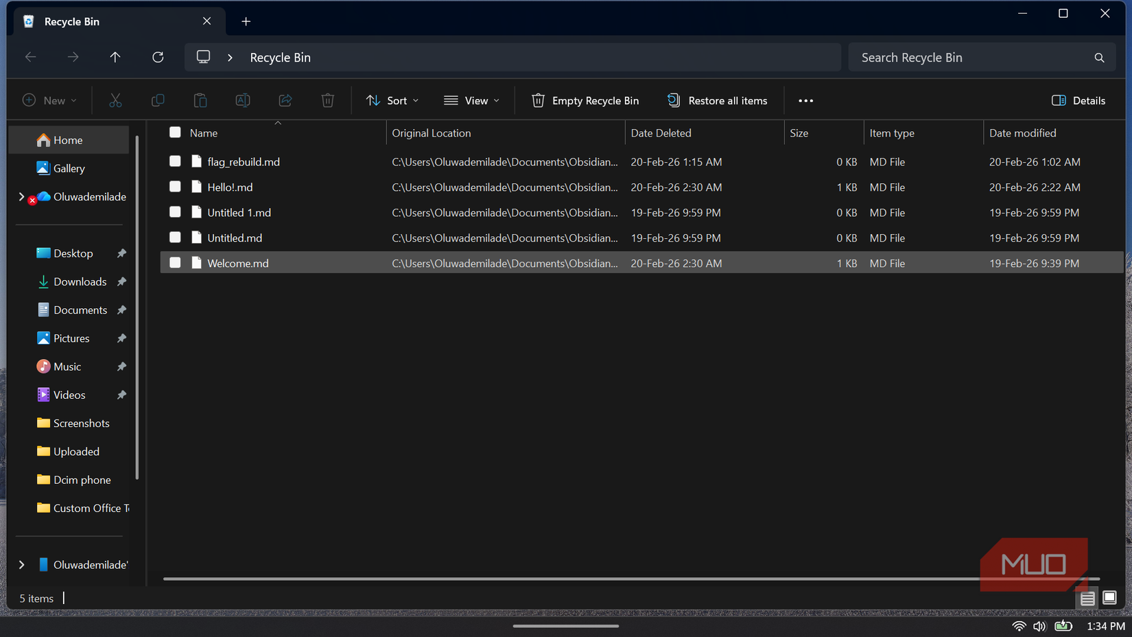 Windows File Explorer displaying the contents of the Recycle Bin.