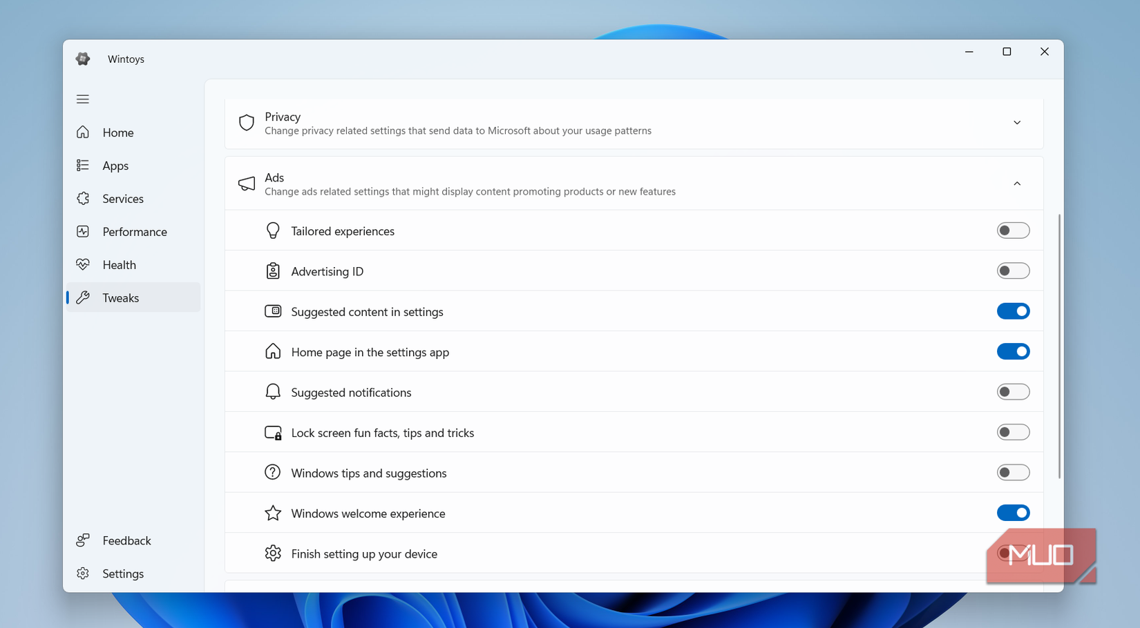 Wintoys ads and privacy settings
