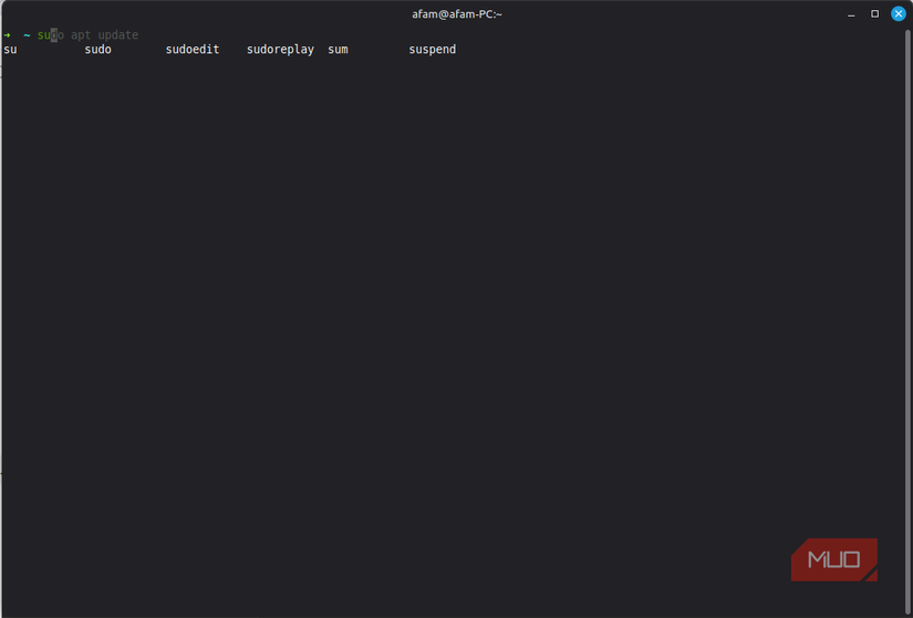 Command options using Zsh