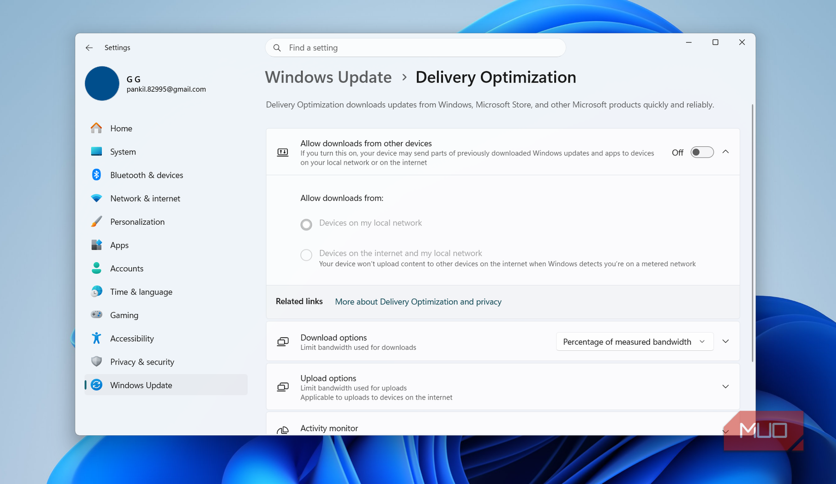Delivery Optimization feature in Windows settings