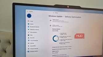 Delivery optimization feature on laptop